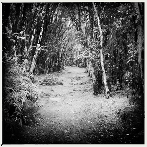 Hip 335838351.488672