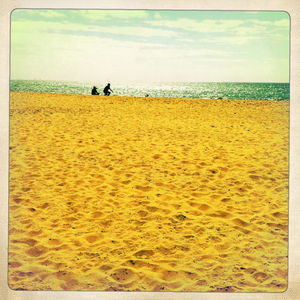 Hip 315033013.776104