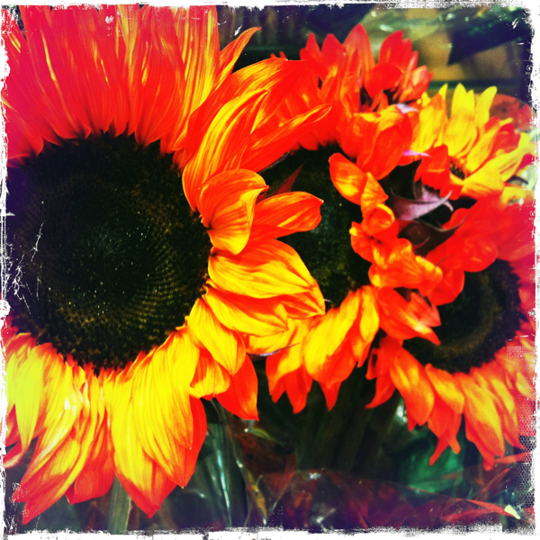 Hip 329795064.907964