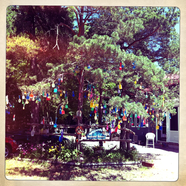 Hip 331230870.864959