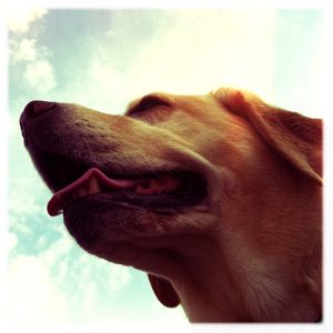 Hip 329095069.471258