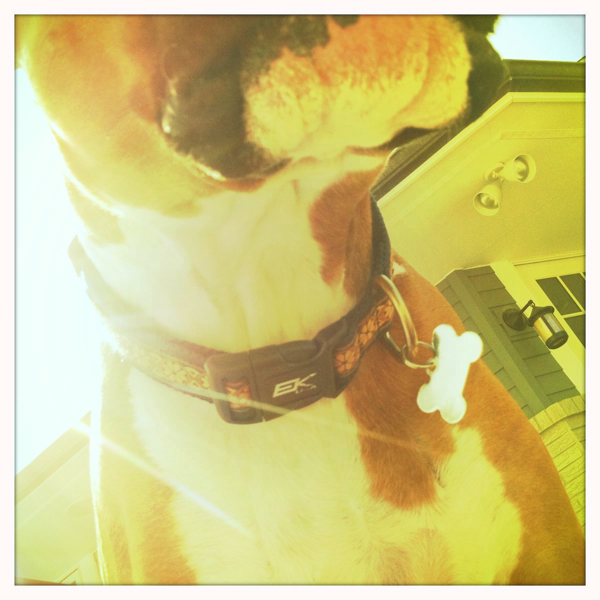 Hip 321824421.531741