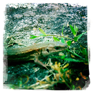 Hip 335810496.581757