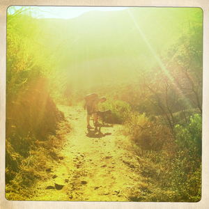 Hip 335661194.971708