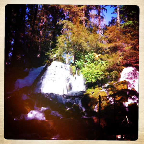 Hip 300927612.878952