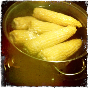 Hip 335851898.055535