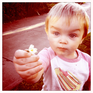 Hip 335862031.591341