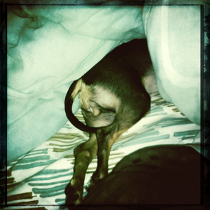 Hip 335863259.568279