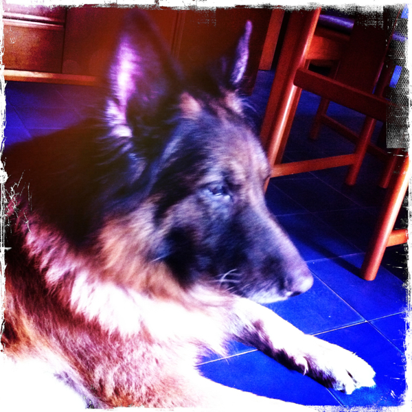 Hip 335864202.883045