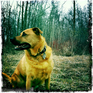 Hip 326496643.487204