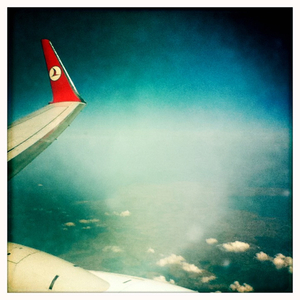 Hip 334240331.901876