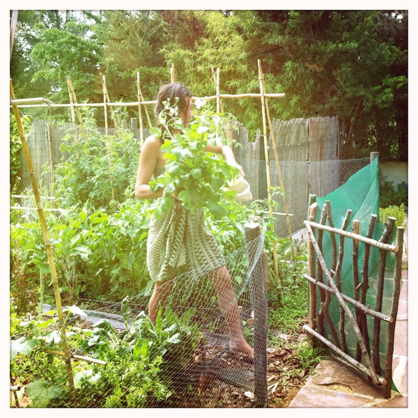 Hip 332688406.384626