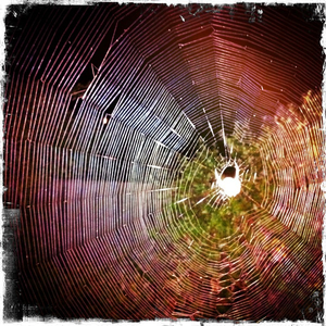 Hip 335873554.268581