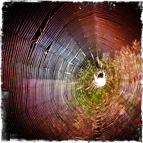 Hip 335873554.268581