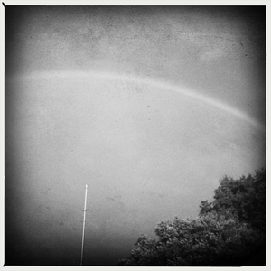 Hip 334351208.508648