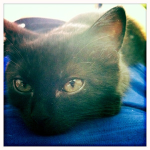 Hip 335873738.618065