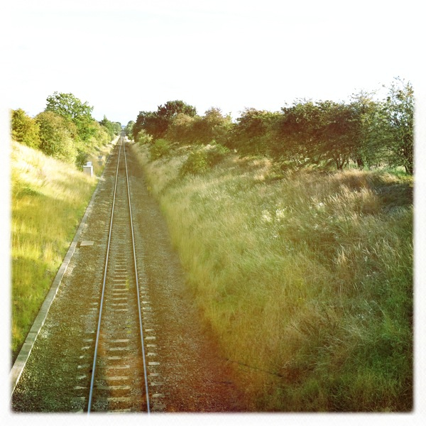 Hip 334517433.563729