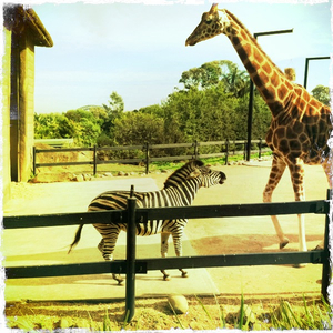 Hip 329104696.280688