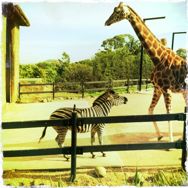 Hip 329104696.280688