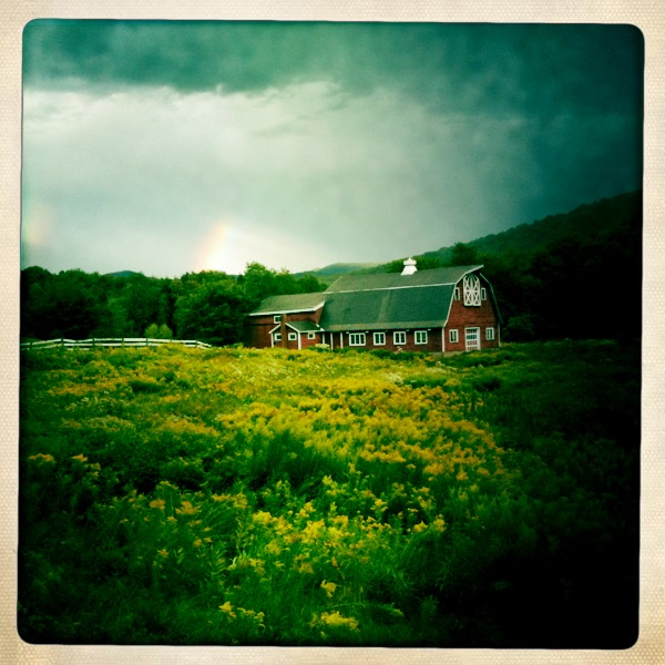 Hip 335746021.568668