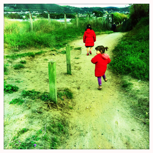 Hip 334952505.462401