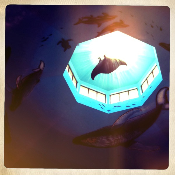 Hip 321746818.985664