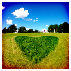 Hip 335790547.835224