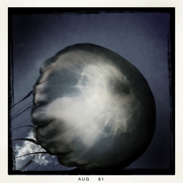 Hip 335667237.868623