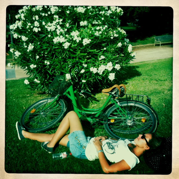 Hip 333217745.812967