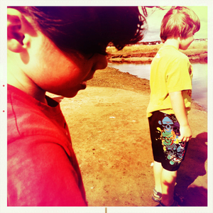 Hip 335890219.726247