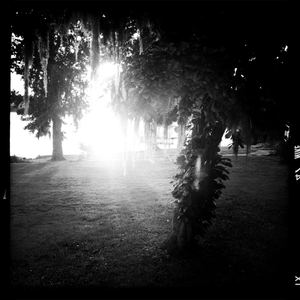 Hip 335879666.285440