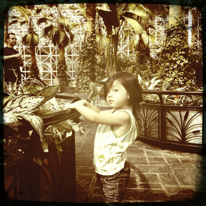 Hip 335892278.631369