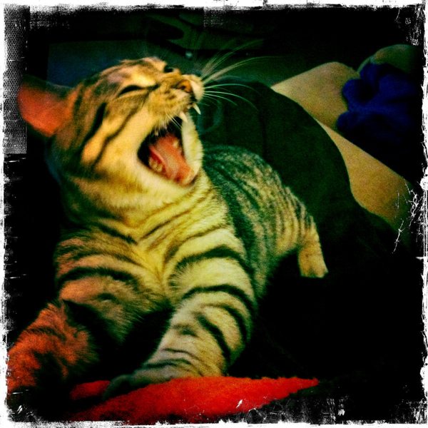 Hip 326667214.076186