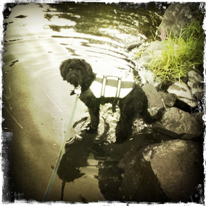 Hip 335567863.648030