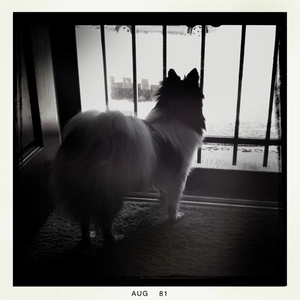 Hip 335889880.545090