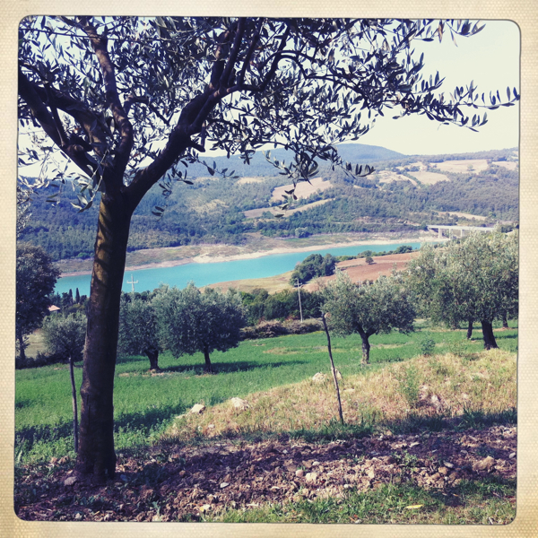 Hip 334397803.281748