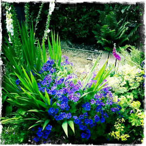 Hip 330775475.350249