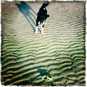 Hip 329423790.942040