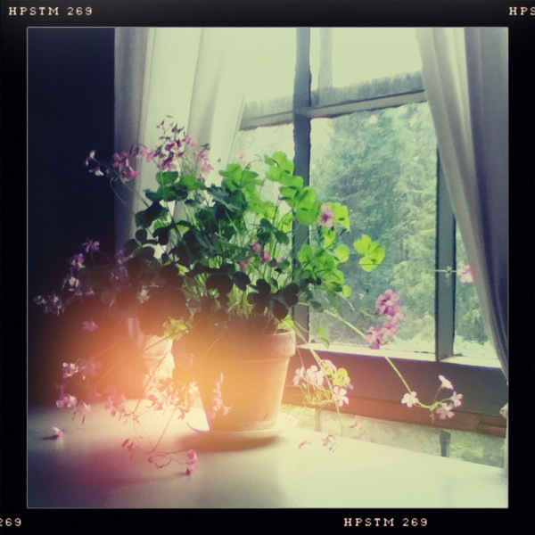 Hip 335129630.578904