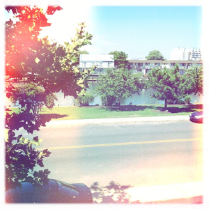 Hip 335905558.753546