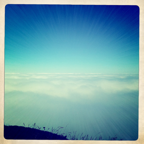 Hip 335827563.000411