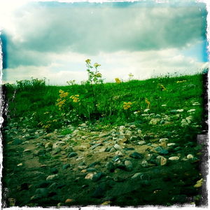 Hip 335196343.294288