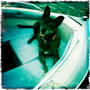 Hip 335566602.544257