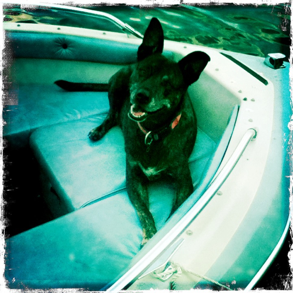 Hip 335566602.544257