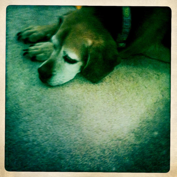 Hip 335907057.190078