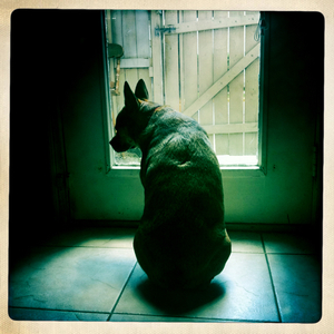 Hip 335907114.726187