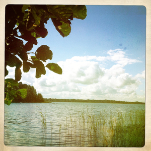 Hip 335354340.377218