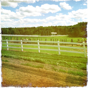 Hip 335905842.164947