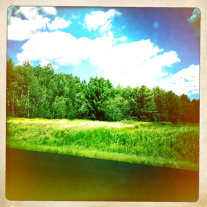 Hip 335905492.532270