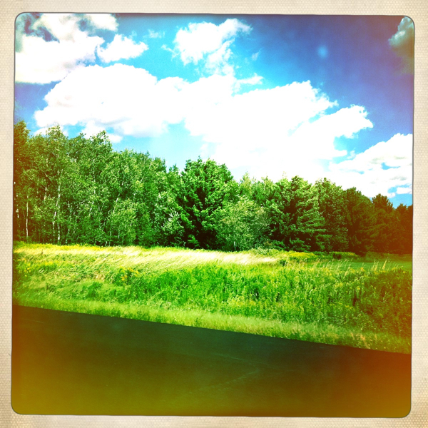 Hip 335905492.532270